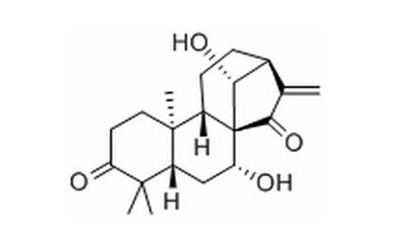 藍萼甲素檢測